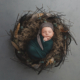 Newborn Sample - Green Basket